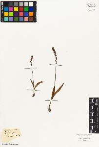 SW_BNB_s3010-03809_IMG-0000000001