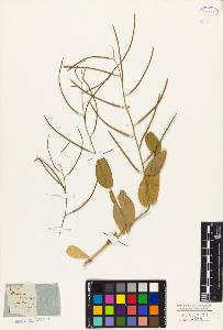 SW_BNB_s3010-03816_IMG-0000000001