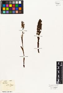 SW_BNB_s3010-03818_IMG-0000000001