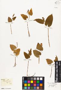 SW_BNB_s3010-03820_IMG-0000000001