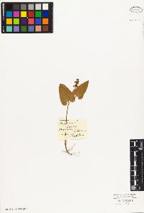 SW_BNB_s3010-03821_IMG-0000000001