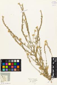 SW_BNB_s3010-03825_IMG-0000000001