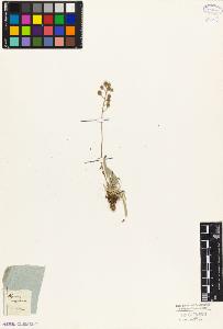 SW_BNB_s3010-03826_IMG-0000000001