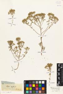 SW_BNB_s3010-03827_IMG-0000000001