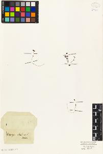 SW_BNB_s3010-03828_IMG-0000000001