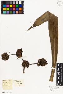 SW_BNB_s3010-03830_IMG-0000000001