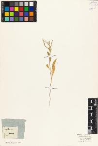 SW_BNB_s3010-03832_IMG-0000000001
