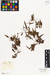 SW_BNB_s3010-03835_IMG-0000000001