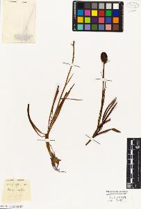 SW_BNB_s3010-03846_IMG-0000000001