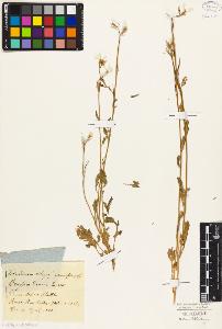 SW_BNB_s3010-03851_IMG-0000000001