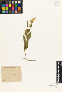 SW_BNB_s3010-03858_IMG-0000000001
