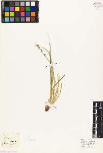 SW_BNB_s3010-03862_IMG-0000000001