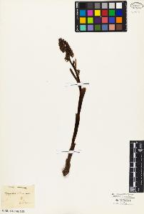 SW_BNB_s3010-03868_IMG-0000000001