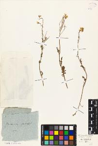 SW_BNB_s3010-03869_IMG-0000000001