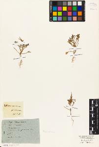 SW_BNB_s3010-03870_IMG-0000000001