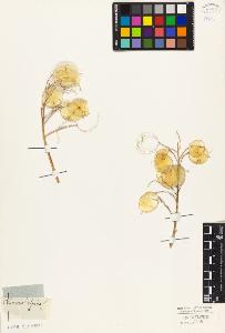 SW_BNB_s3010-03880_IMG-0000000001