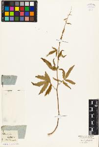 SW_BNB_s3010-03886_IMG-0000000001