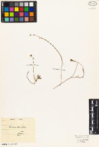 SW_BNB_s3010-03887_IMG-0000000001