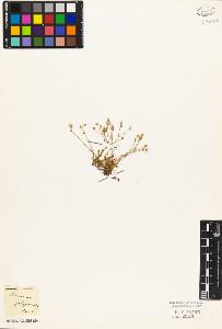 SW_BNB_s3010-03888_IMG-0000000001