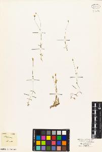 SW_BNB_s3010-03890_IMG-0000000001
