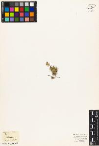 SW_BNB_s3010-03891_IMG-0000000001
