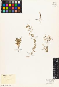 SW_BNB_s3010-03892_IMG-0000000001