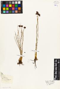 SW_BNB_s3010-03893_IMG-0000000001