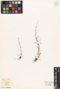 SW_BNB_s3010-03894_IMG-0000000001