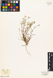 SW_BNB_s3010-03895_IMG-0000000001