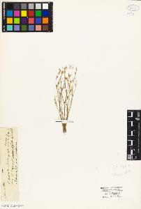 SW_BNB_s3010-03896_IMG-0000000001