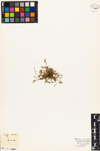 SW_BNB_s3010-03897_IMG-0000000001
