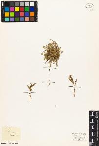 SW_BNB_s3010-03898_IMG-0000000001