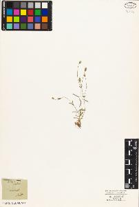 SW_BNB_s3010-03900_IMG-0000000001