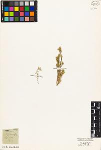SW_BNB_s3010-03901_IMG-0000000001