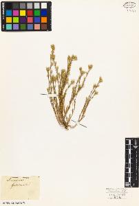 SW_BNB_s3010-03902_IMG-0000000001