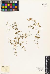 SW_BNB_s3010-03907_IMG-0000000001