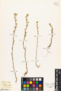SW_BNB_s3010-03909_IMG-0000000001