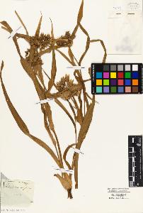 SW_BNB_s3010-03914_IMG-0000000001
