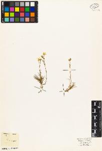SW_BNB_s3010-03920_IMG-0000000001