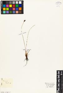 SW_BNB_s3010-03921_IMG-0000000001