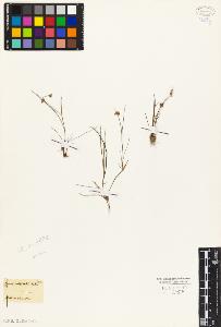 SW_BNB_s3010-03923_IMG-0000000001