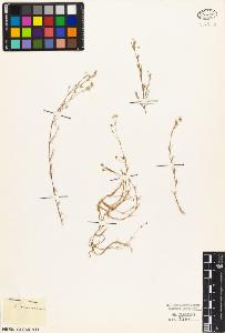 SW_BNB_s3010-03925_IMG-0000000001