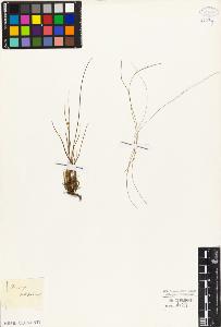 SW_BNB_s3010-03928_IMG-0000000001