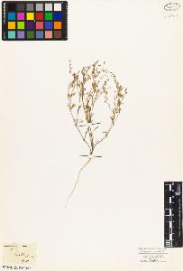 SW_BNB_s3010-03929_IMG-0000000001