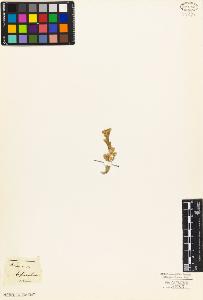 SW_BNB_s3010-03930_IMG-0000000001