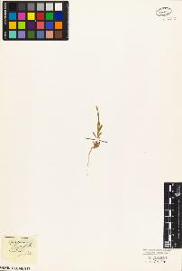 SW_BNB_s3010-03933_IMG-0000000001