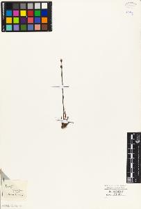 SW_BNB_s3010-03934_IMG-0000000001