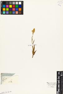 SW_BNB_s3010-03935_IMG-0000000001