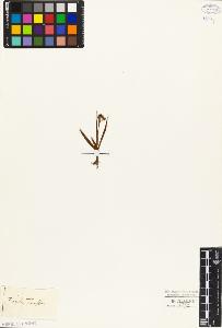 SW_BNB_s3010-03936_IMG-0000000001