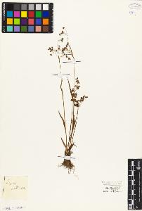 SW_BNB_s3010-03937_IMG-0000000001